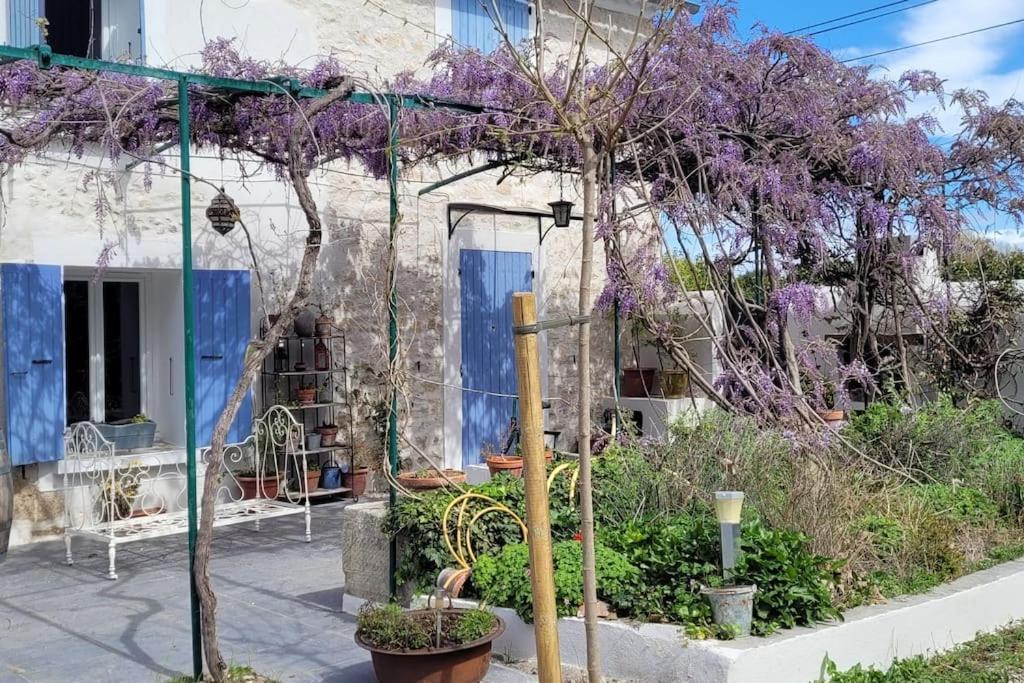 Location Appartement Dans Mas Provencal Monteux Eksteriør bilde