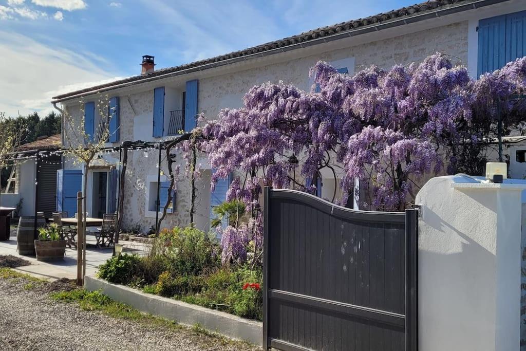 Location Appartement Dans Mas Provencal Monteux Eksteriør bilde