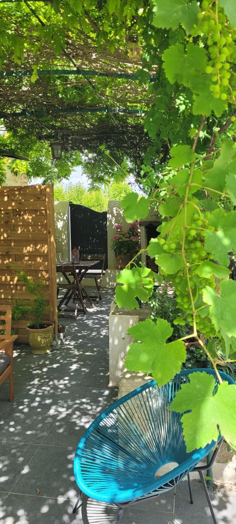 Location Appartement Dans Mas Provencal Monteux Eksteriør bilde